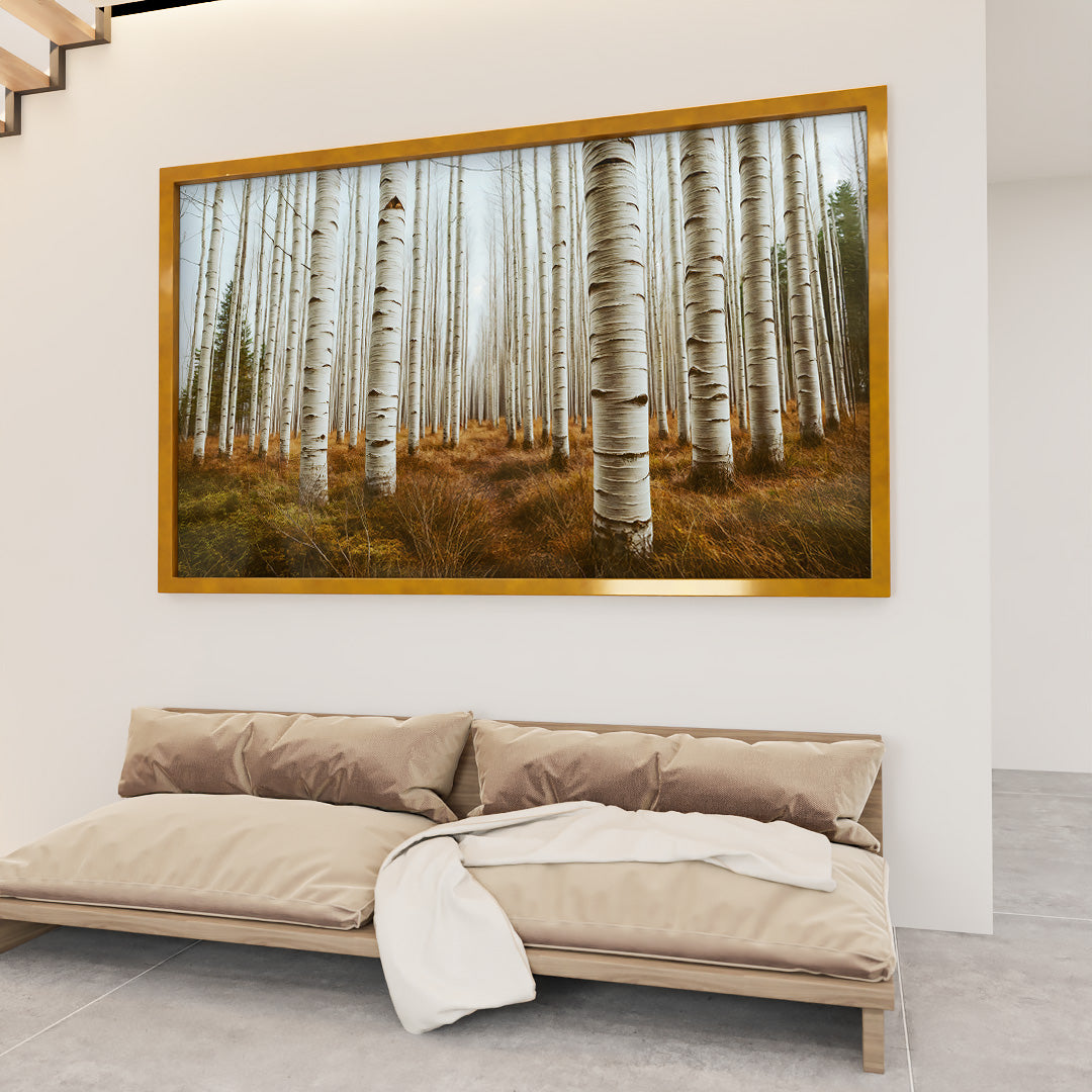 Aspen Grove V2276 Canvas