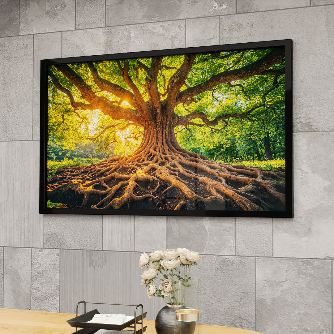 Tree and Its Roots V2232 Canvas