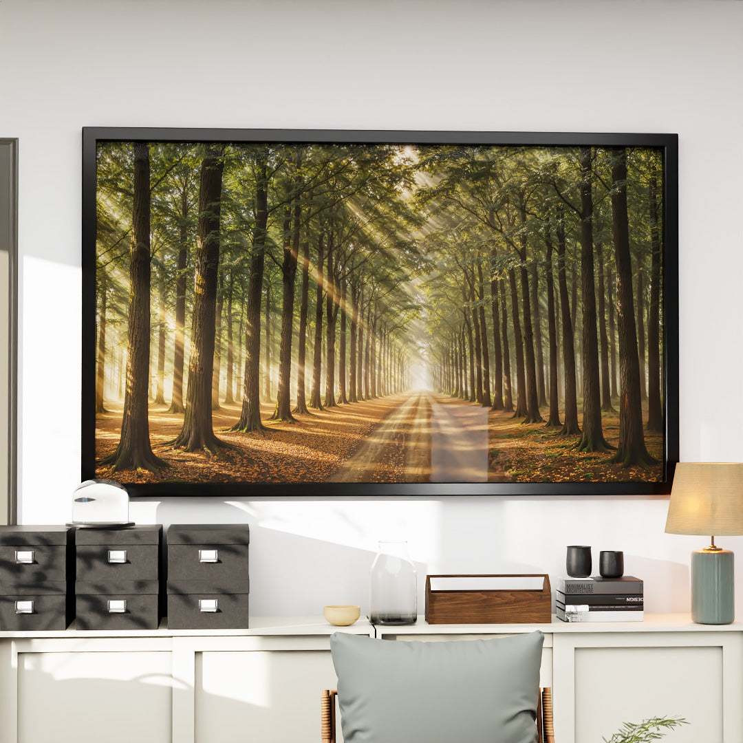 Path in the Forest V2410 Canvas