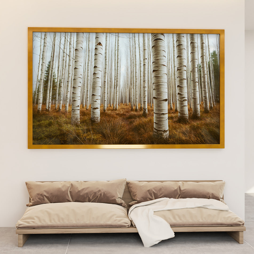 Aspen Grove V2276 Canvas