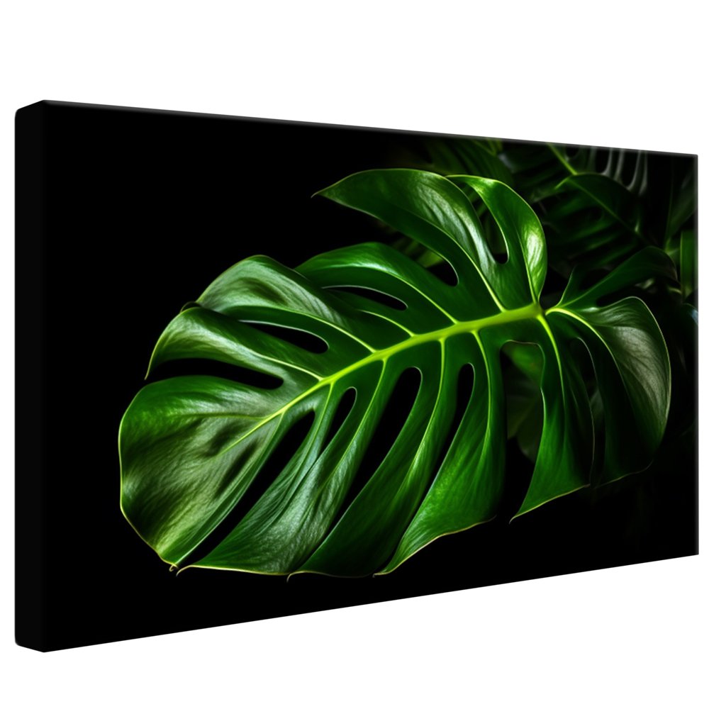 4K Leaf on Black Background Canvas