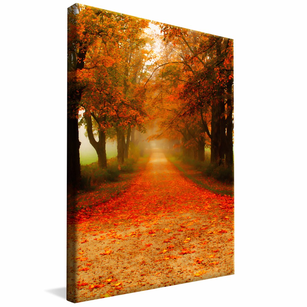Autumn Landscape v145 Canvas