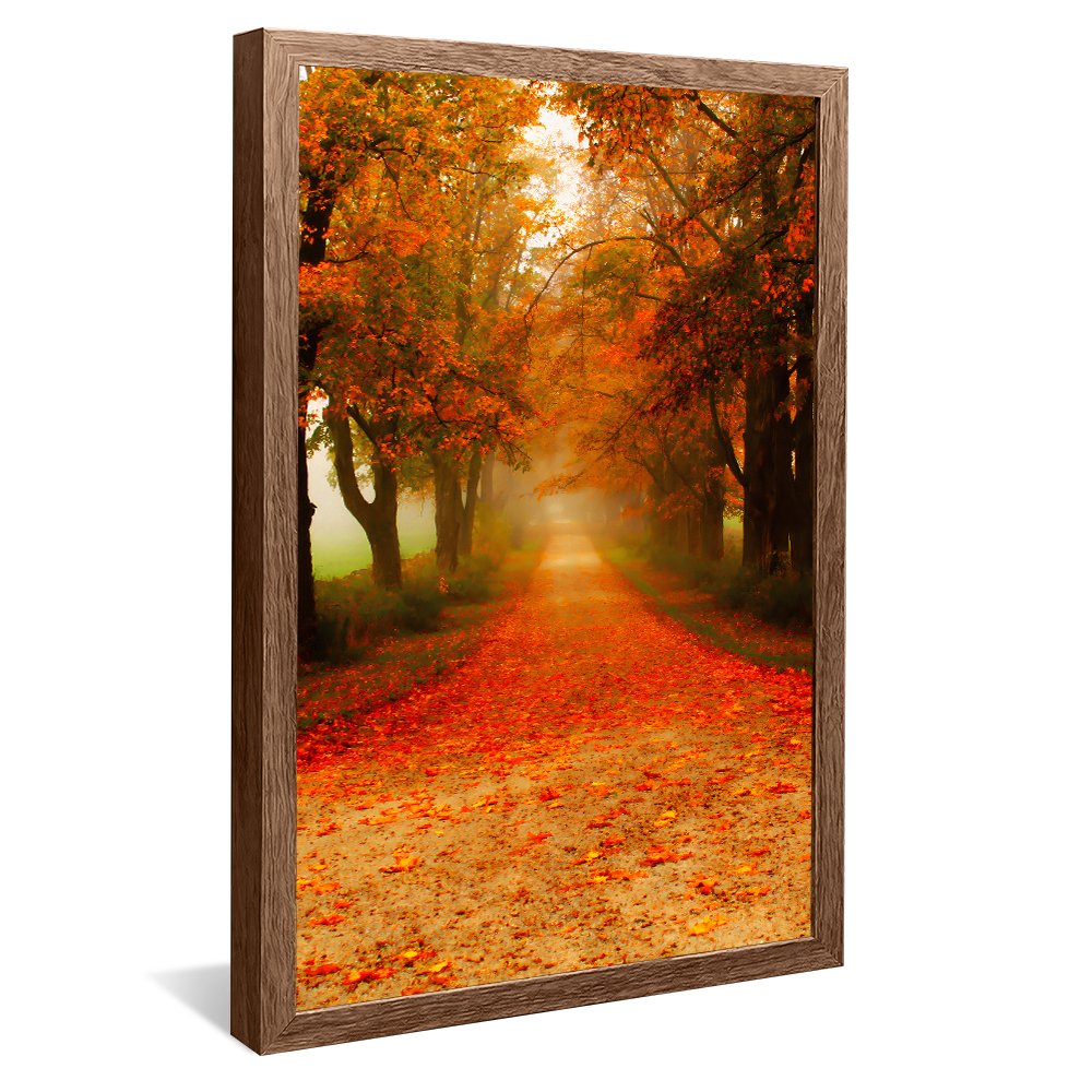 Autumn Landscape v145 Canvas