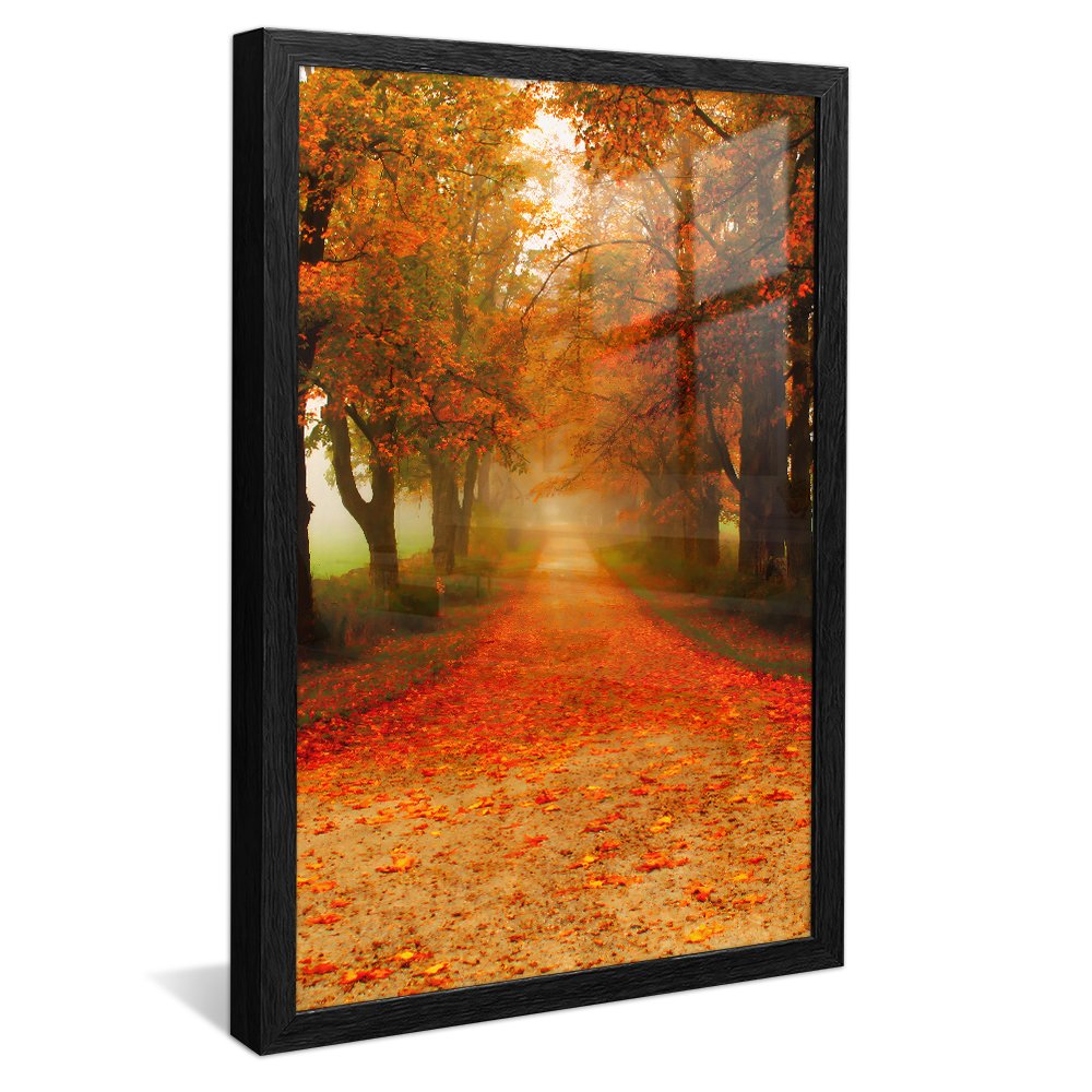 Autumn Landscape v145 Canvas