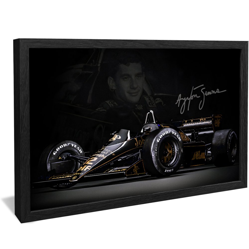 Ayrton Senna Canvas