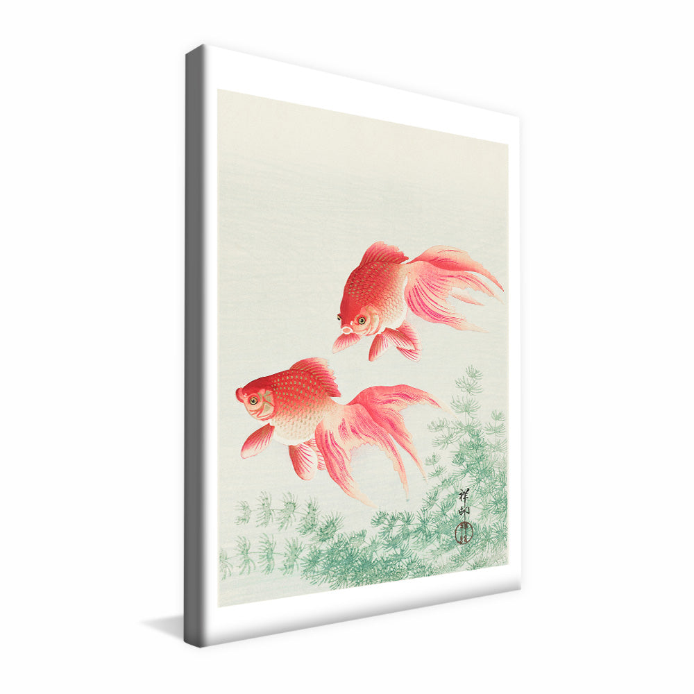 Ohara Koson Two Veil Goldfish V2408 Canvas