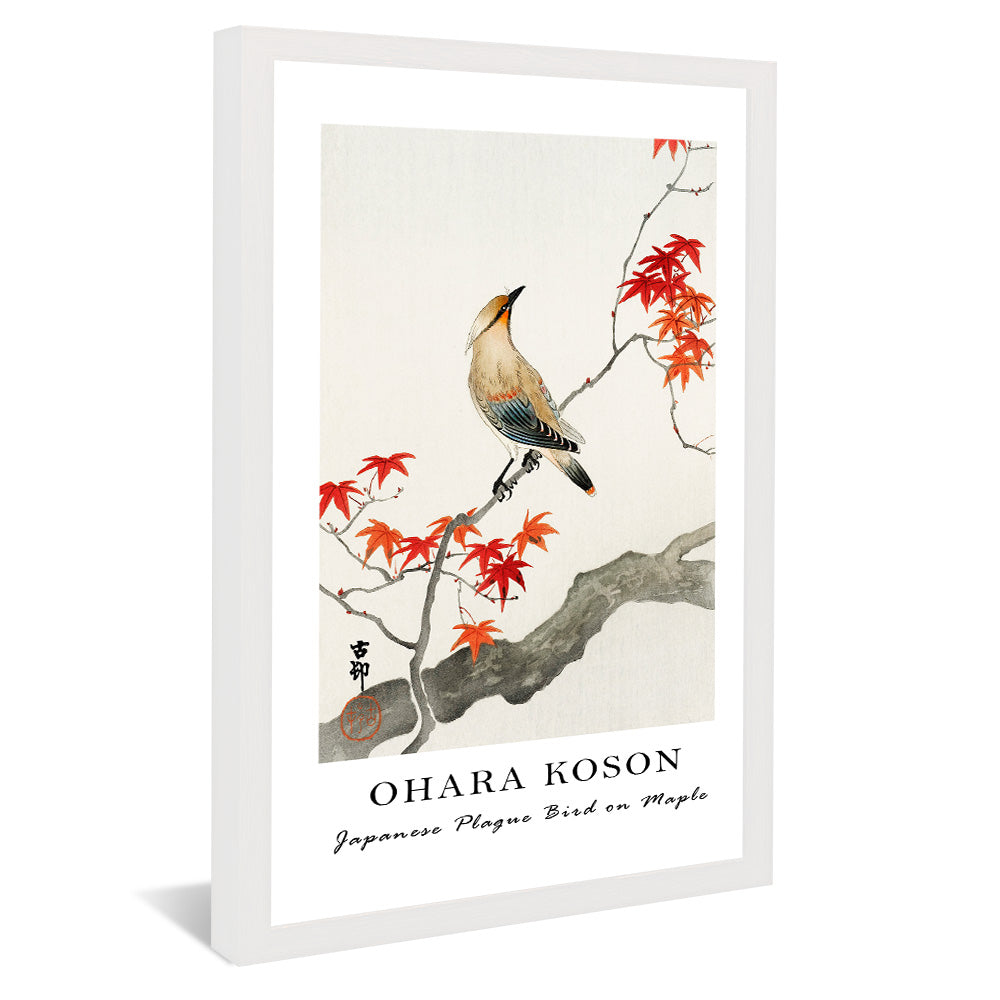 Ohara Koson Japanese Plague Bird on Maple V2407 Canvas