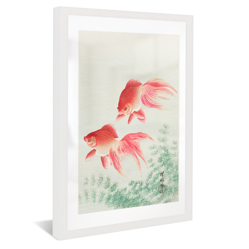 Ohara Koson Two Veil Goldfish V2408 Canvas