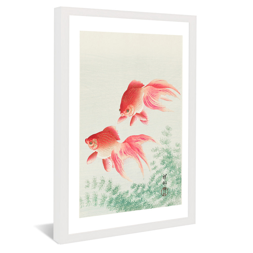 Ohara Koson Two Veil Goldfish V2408 Canvas