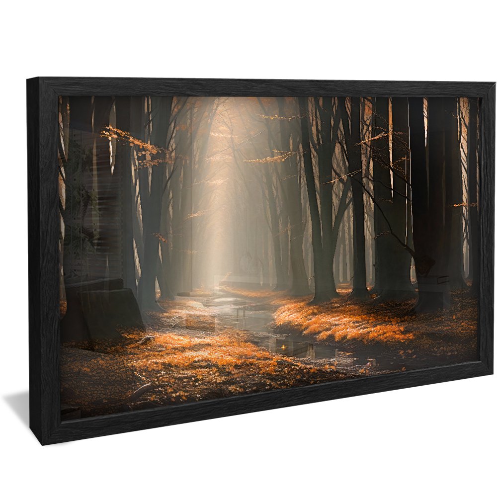 Beautiful Forest Canvas