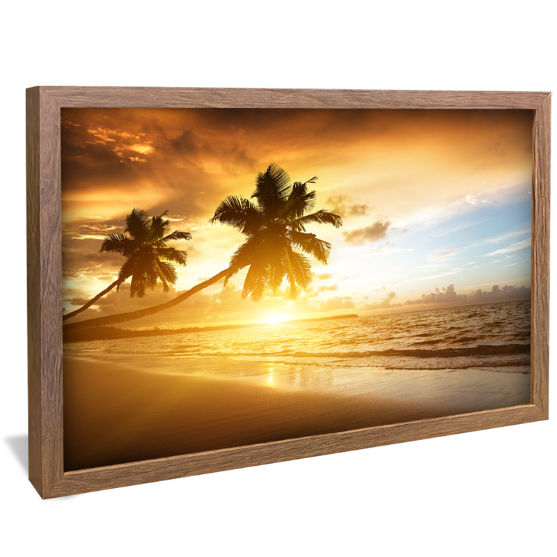 Coconut Trees in the Sunset V886 Canvas