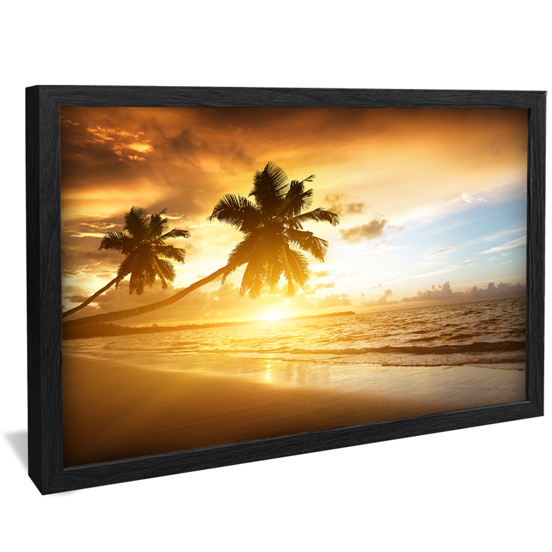 Coconut Trees in the Sunset V886 Canvas