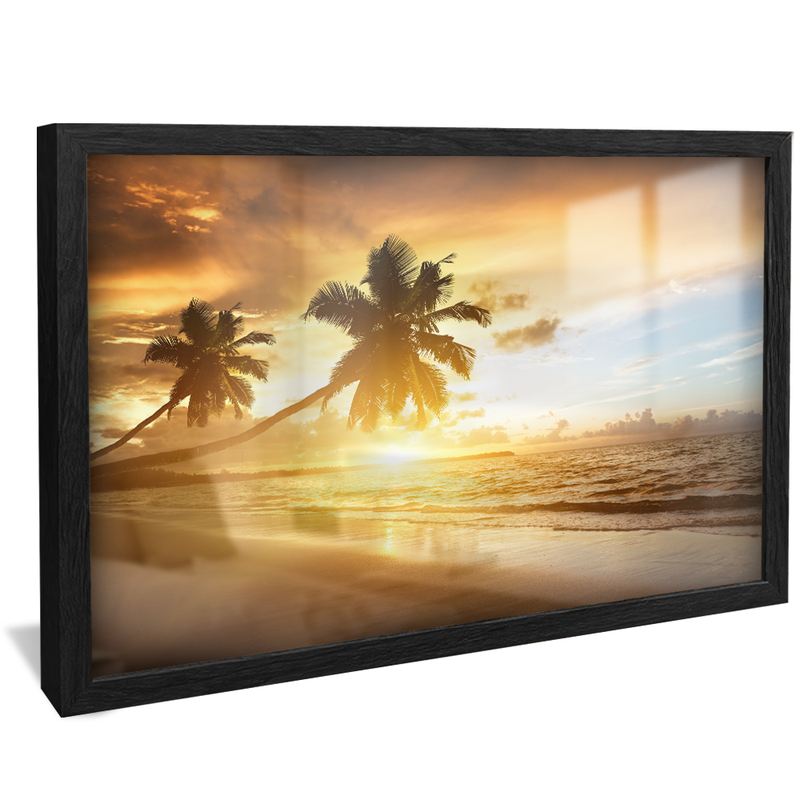 Coconut Trees in the Sunset V886 Canvas