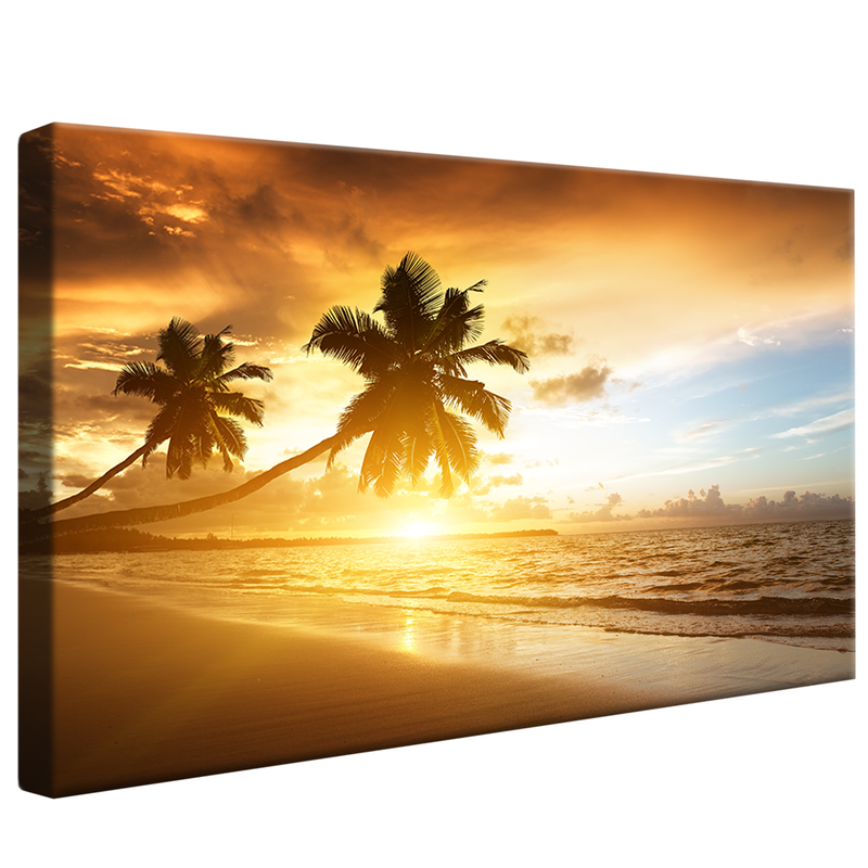 Coconut Trees in the Sunset V886 Canvas