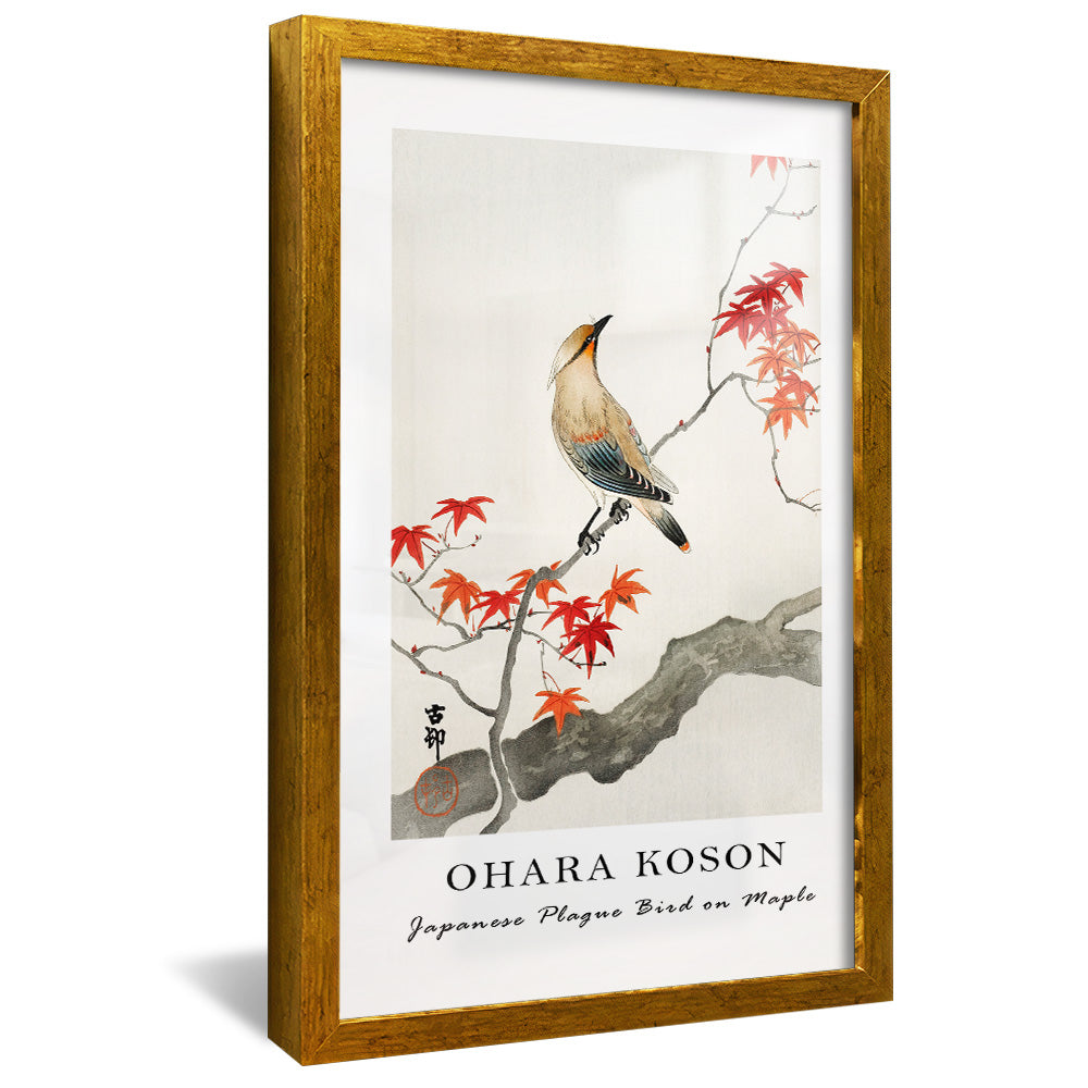 Ohara Koson Japanese Plague Bird on Maple V2407 Canvas