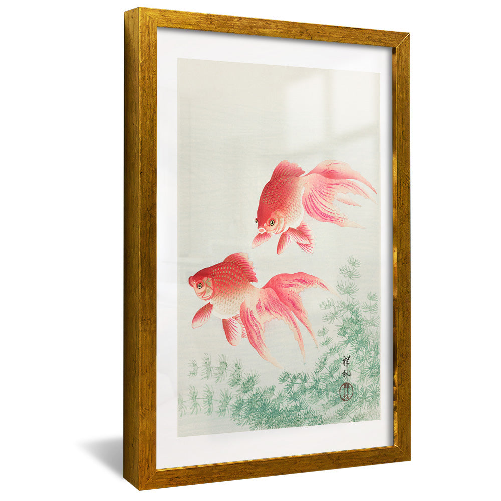 Ohara Koson Two Veil Goldfish V2408 Canvas