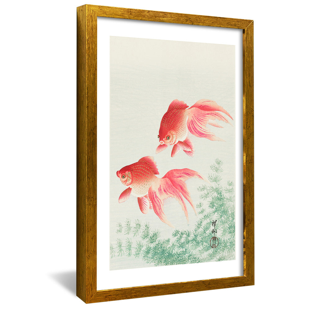 Ohara Koson Two Veil Goldfish V2408 Canvas