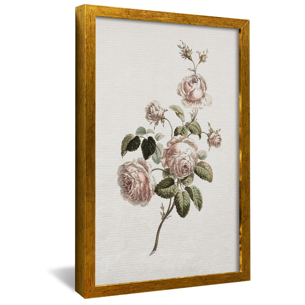 Vintage Floral V2491 Canvas