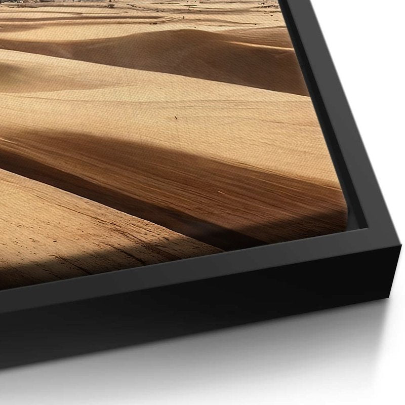 Desert Trio Canvas