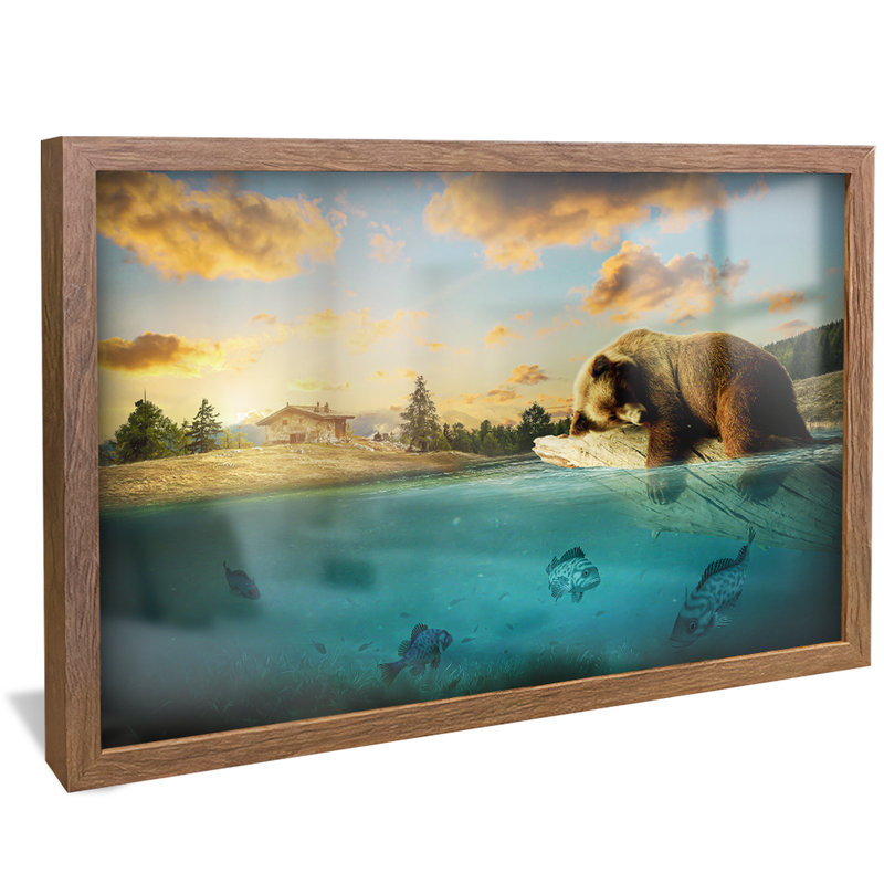 Dorminhoco Bear V1355 Canvas