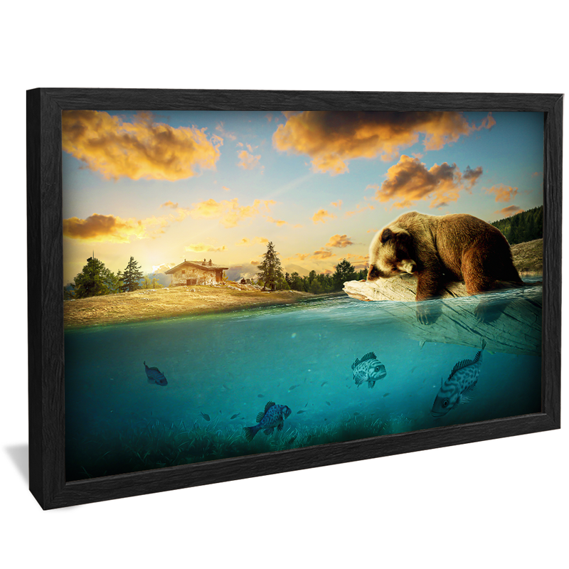 Dorminhoco Bear V1355 Canvas