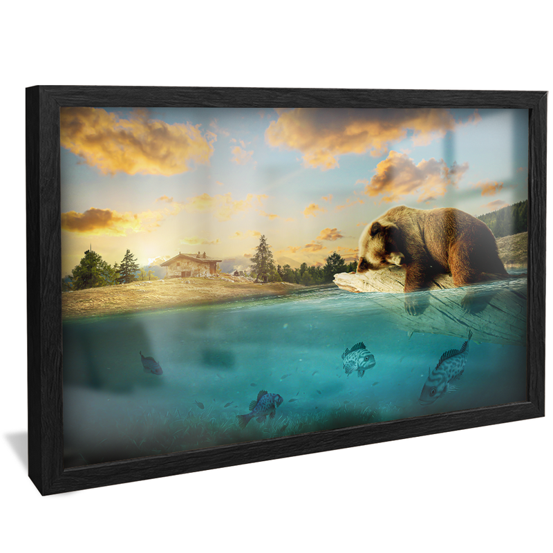 Dorminhoco Bear V1355 Canvas