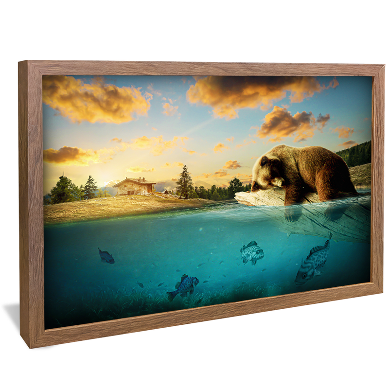 Dorminhoco Bear V1355 Canvas