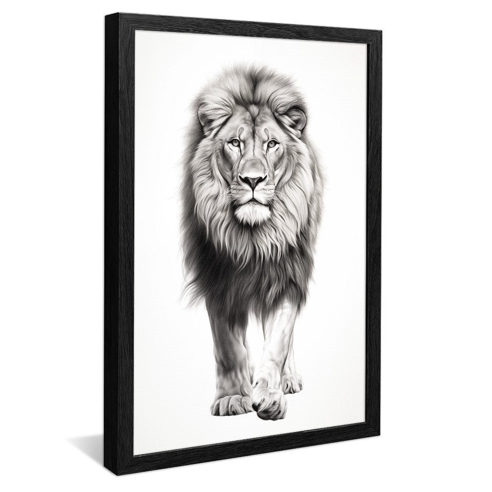 Drawing of Lion Walking V982 Canvas