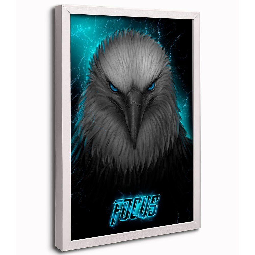 Eagle focus Canvas