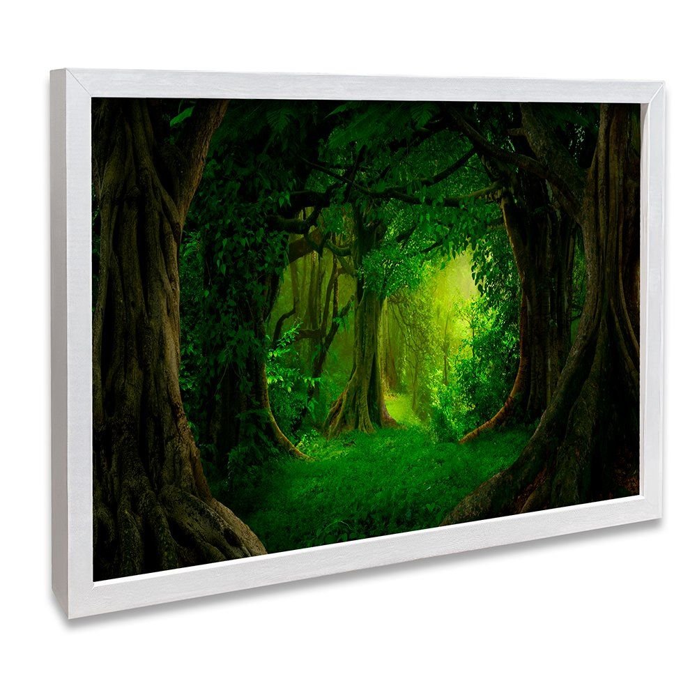 Forest Canvas