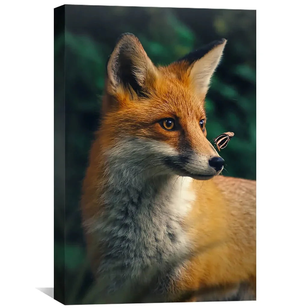Fox Canvas