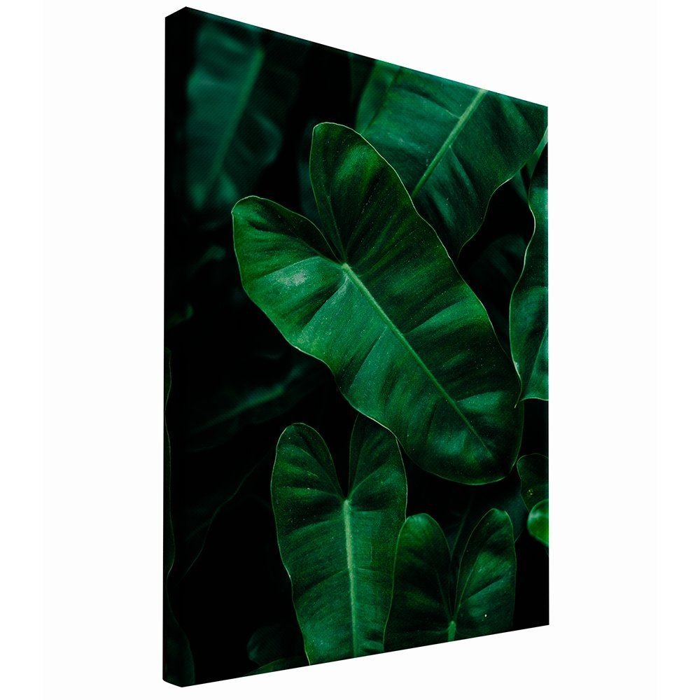 Green Leaves Canvas
