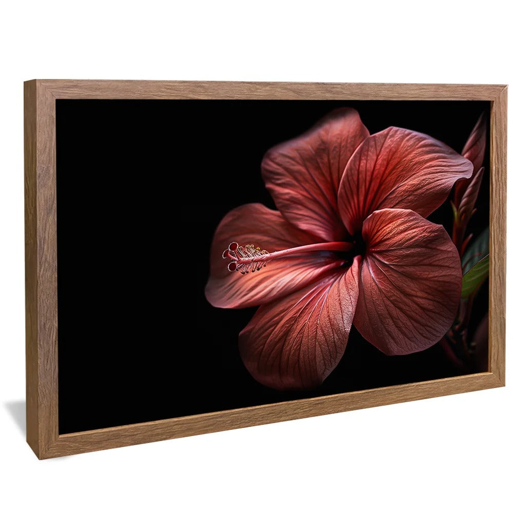Hibiscus Flower Canvas v1408