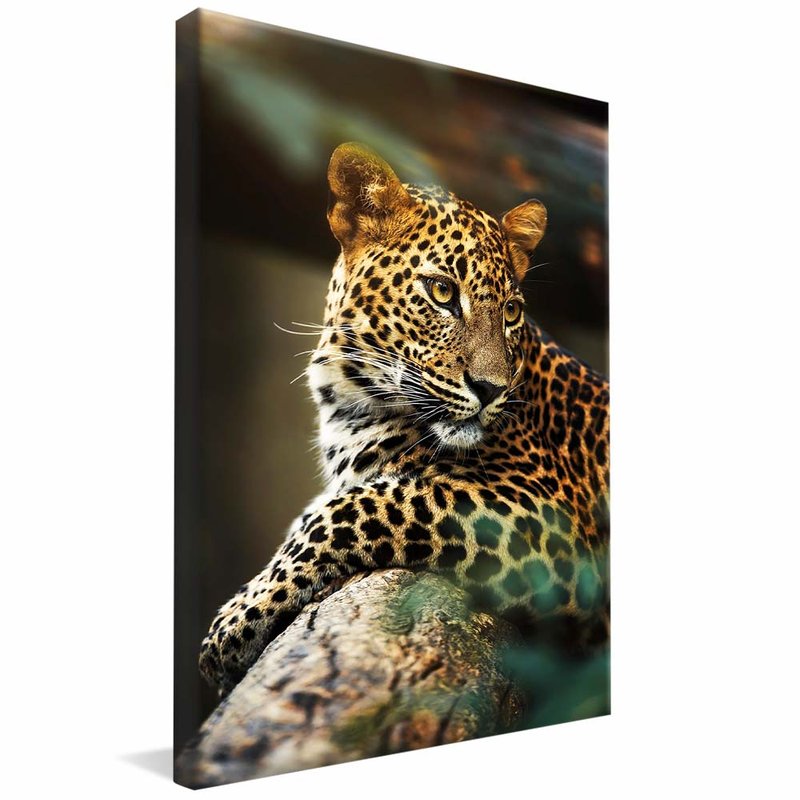 Jaguar Painted Portrait V1745 Canvas
