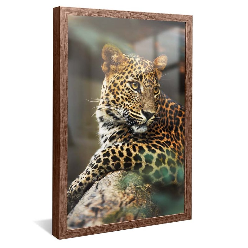 Jaguar Painted Portrait V1745 Canvas