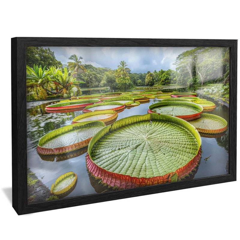 Lake of Victory Regias V1971 Canvas