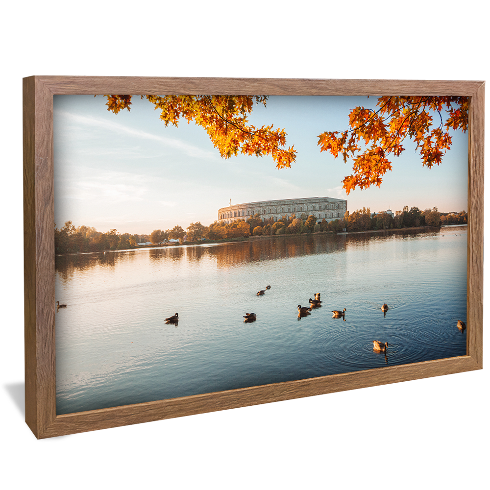 Landscape with Ducks V1182 Canvas