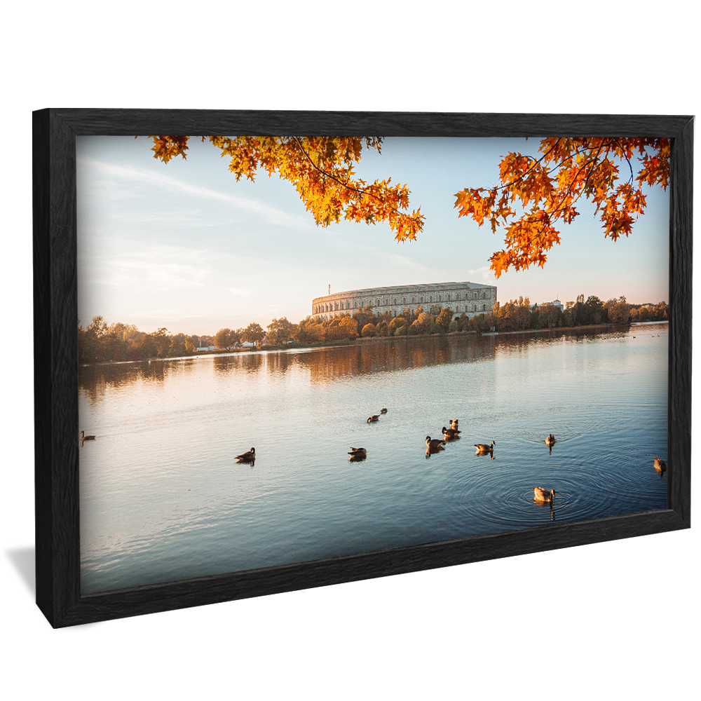 Landscape with Ducks V1182 Canvas