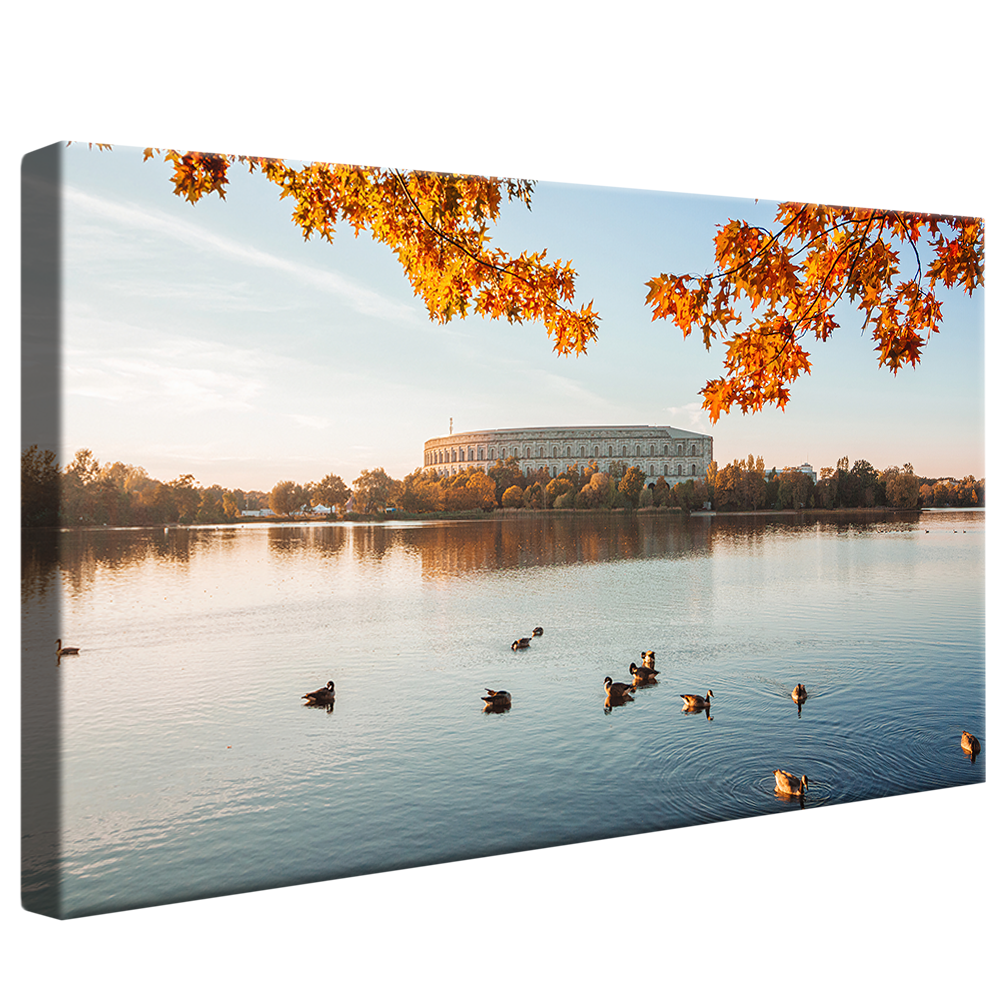 Landscape with Ducks V1182 Canvas