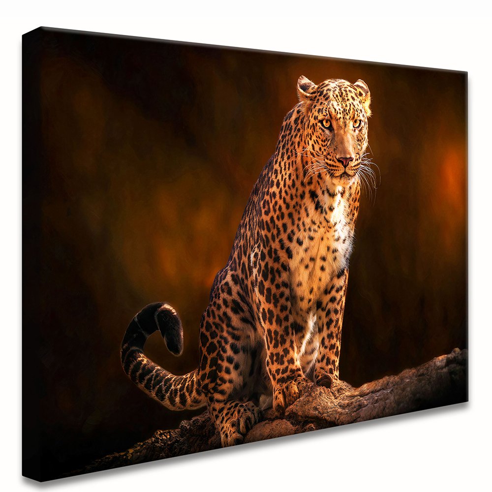 Leopard Canvas