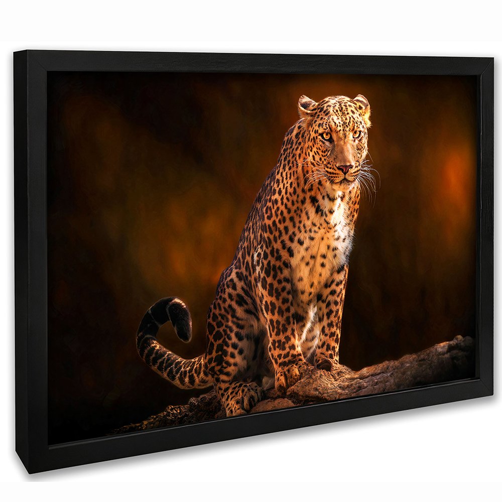 Leopard Canvas