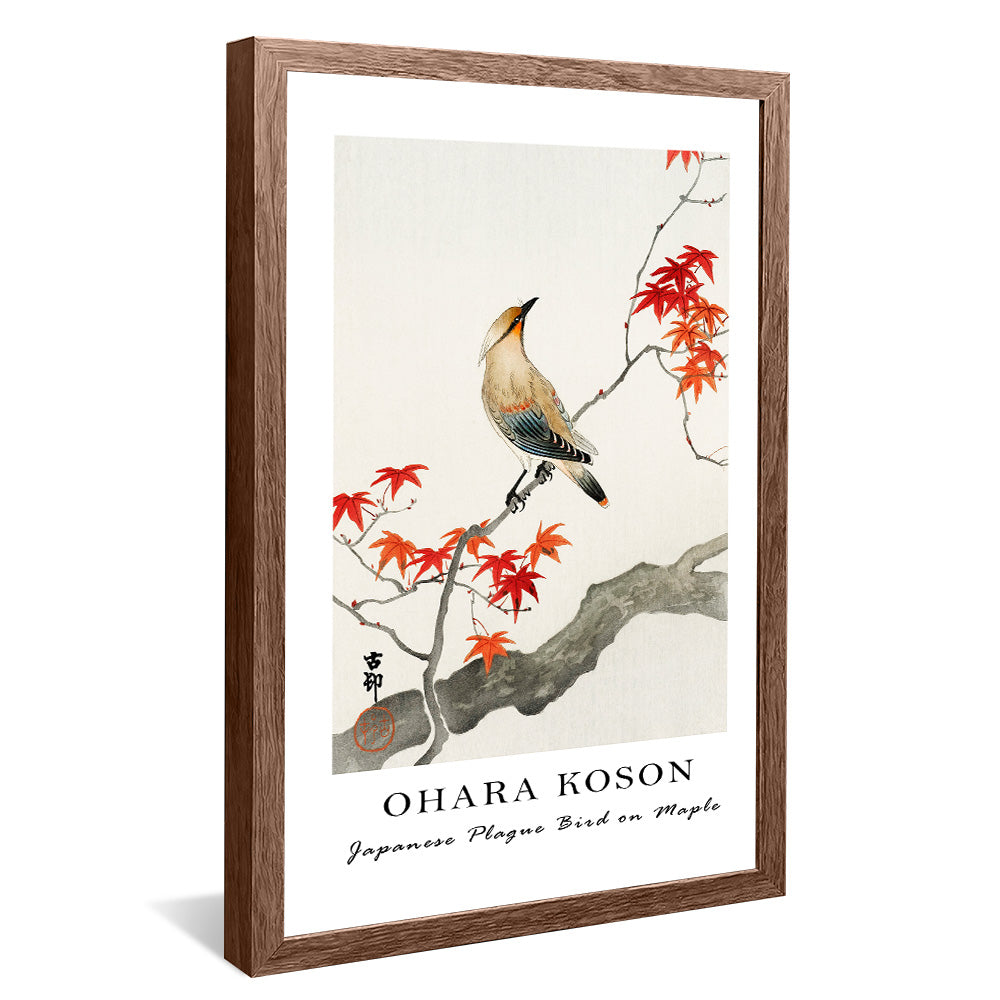 Ohara Koson Japanese Plague Bird on Maple V2407 Canvas