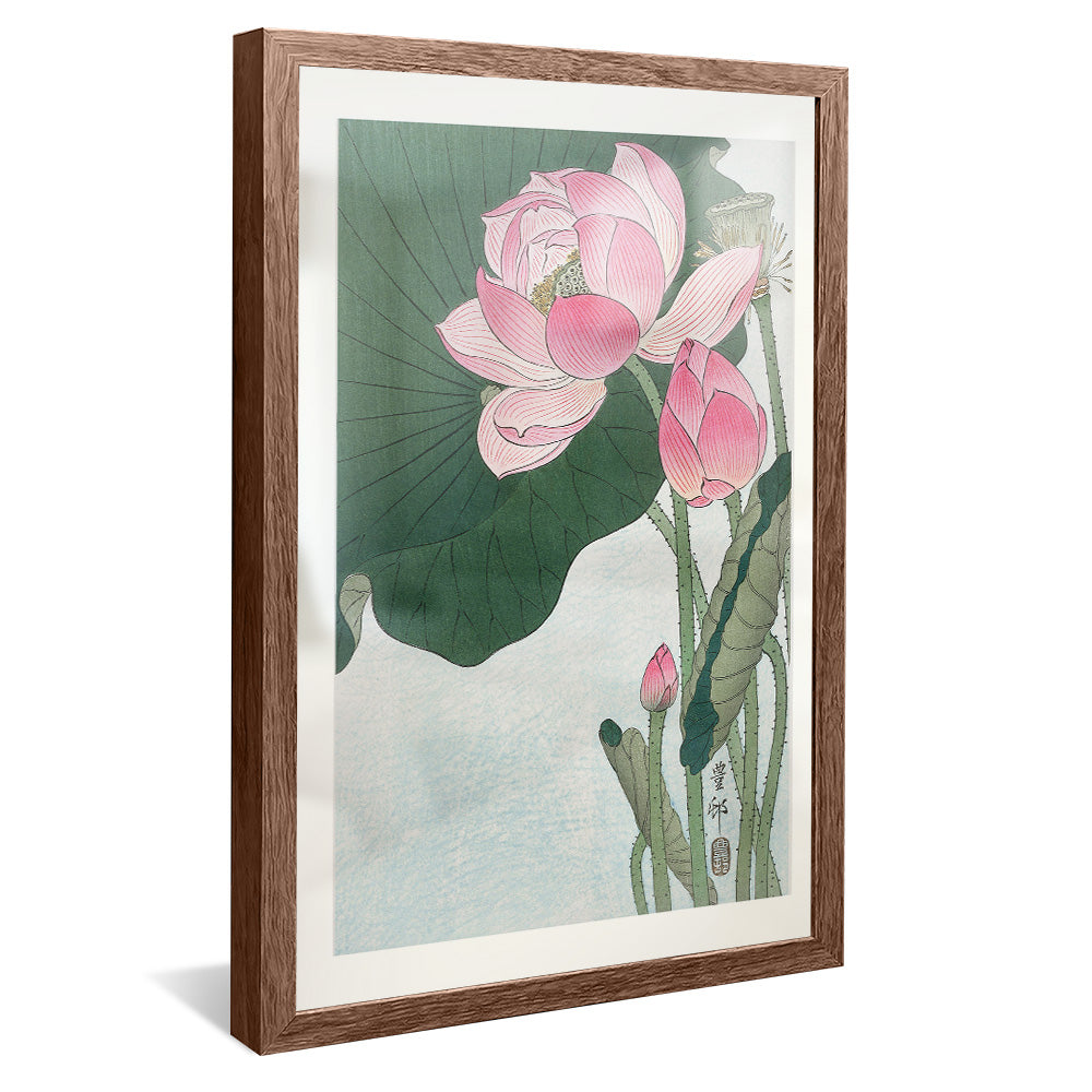 Ohara Koson Blooming Lotus Flowers V2406 Canvas