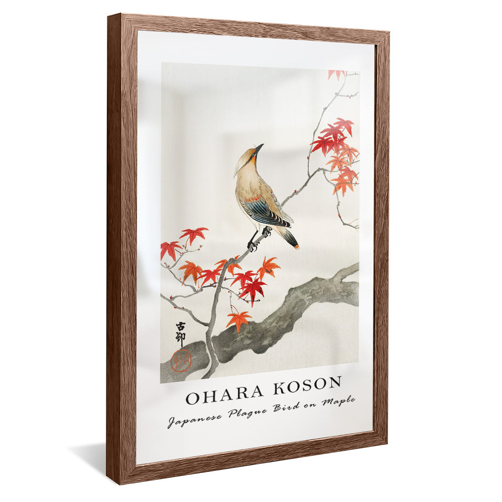 Ohara Koson Japanese Plague Bird on Maple V2407 Canvas