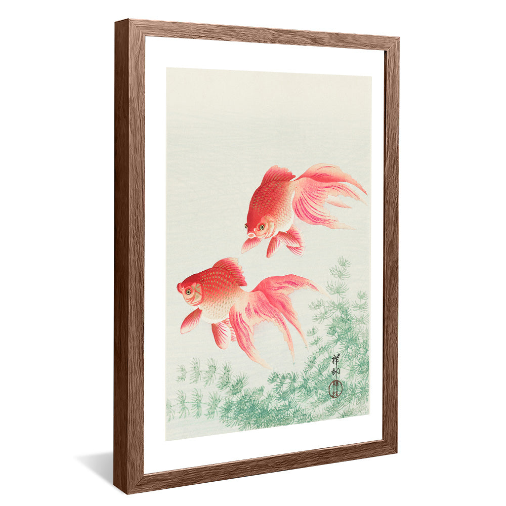 Ohara Koson Two Veil Goldfish V2408 Canvas