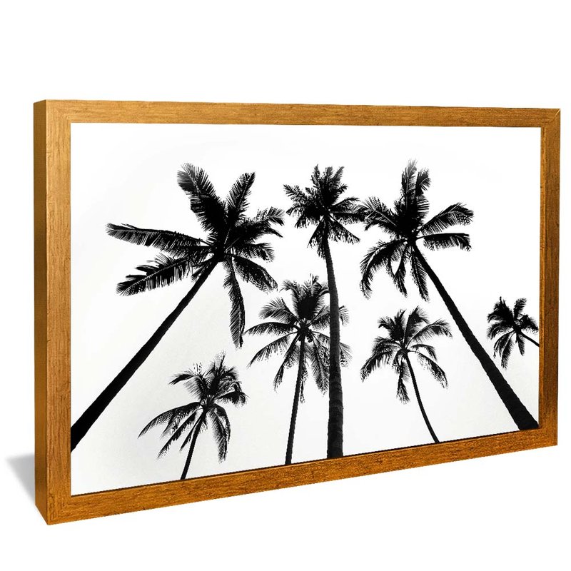 Miami Vibes V1968 Canvas