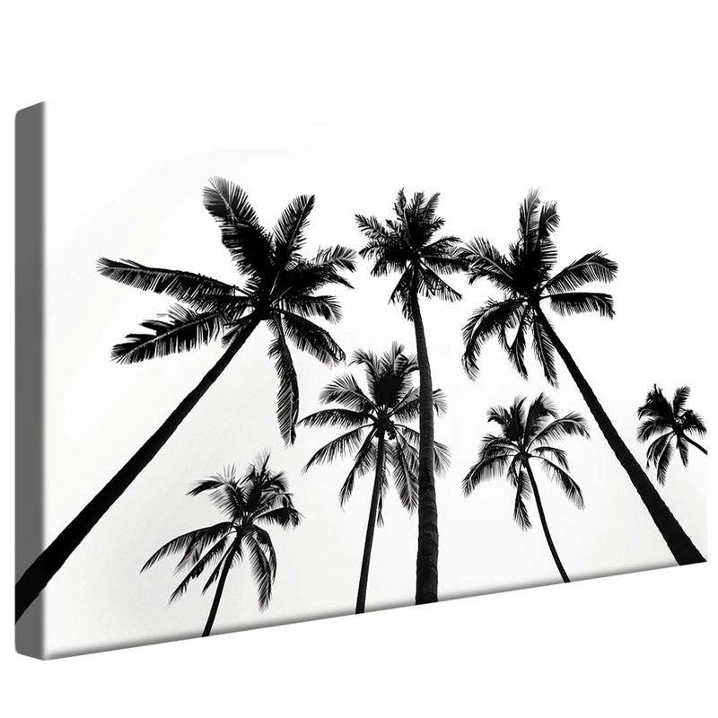 Miami Vibes V1968 Canvas