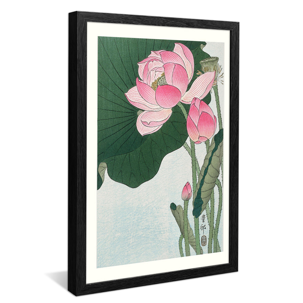 Ohara Koson Blooming Lotus Flowers V2406 Canvas