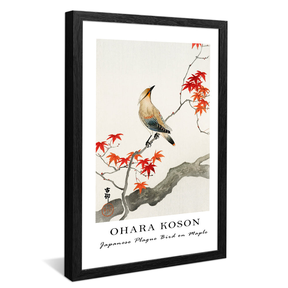 Ohara Koson Japanese Plague Bird on Maple V2407 Canvas