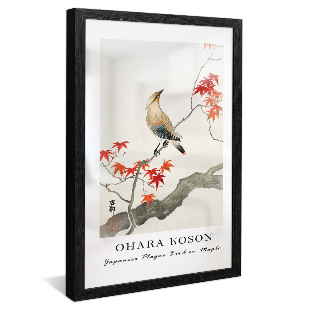 Ohara Koson Japanese Plague Bird on Maple V2407 Canvas